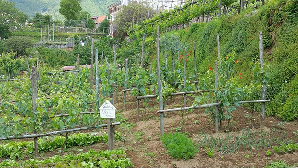 Appartamenti Aria Di Verde Аджерола Экстерьер фото